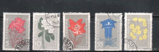 Румыния-1957, (Мих.1647-1653) гаш.  , Флора, Цветы