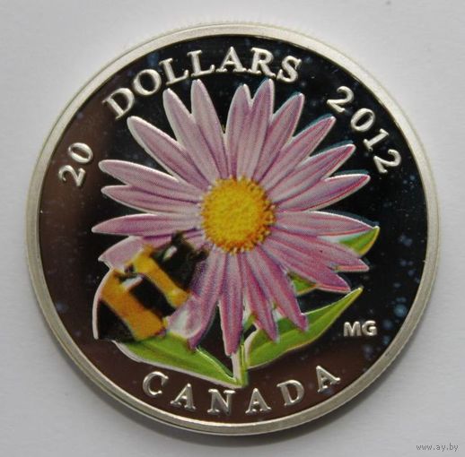 Копия монеты 20 долларов Канады 2012 года.