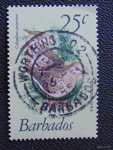 Барбадос 1979 г. Птицы.