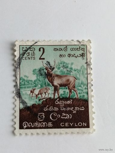 Цейлон 1958-1959. Местные мотивы