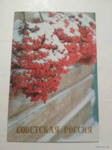 Карманный календарик. Советская Россия. 1988 год