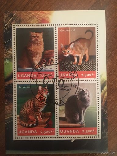 Уганда 2014. Коты (блок)