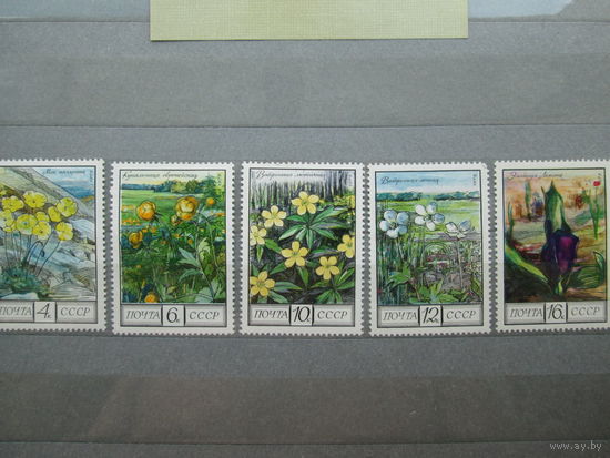 Цветы 1975 г