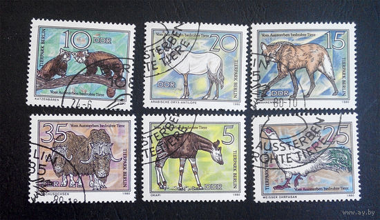 ГДР 1980 г. Исчезающие виды животных. Фауна. полная серия из 6 марок #0026-Ф1