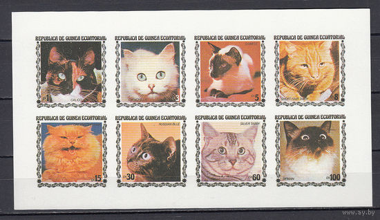 Фауна. Кошки. Экваториальная Гвинея. 1978. 8 марок в малом листе.