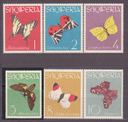 Албания 1963 бабочки фауна MNH\\5