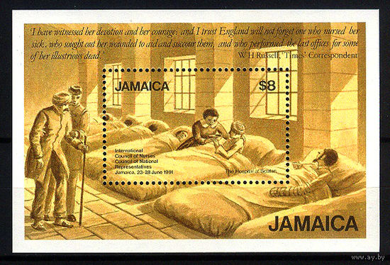 1991 Ямайка. Международный совет медсестер