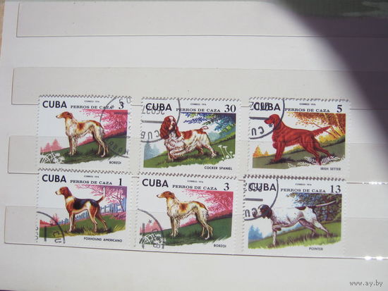 Марки - Куба 1976 фауна собаки