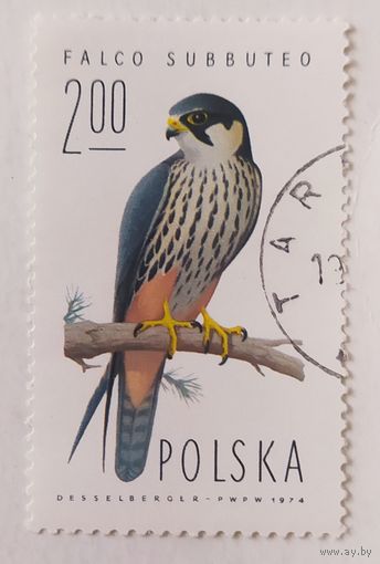 Польша 1974, птица
