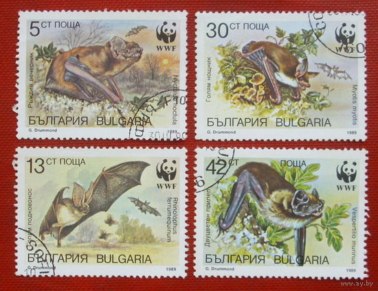 Болгария. Летучие мыши. ( 4 марки ) 1989 года. 2-8.