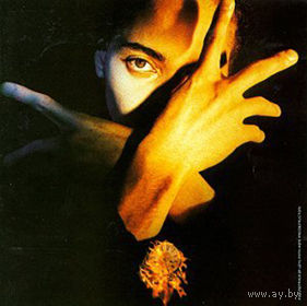 Terence Trent DArby - Neither Fish Nor Flesh / LP