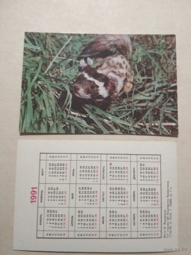 Карманный календарик . Хорёк. 1991 год