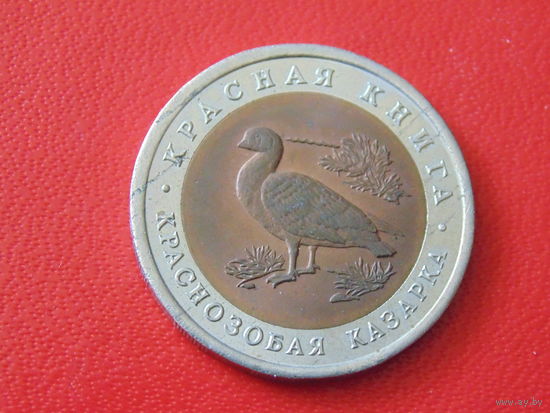 Россия 10 рублей 1992 год  Краснозобая казарка. Красная книга.