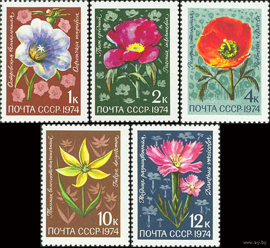 Цветы СССР 1974 год (4407-4411) серия из 5 марок