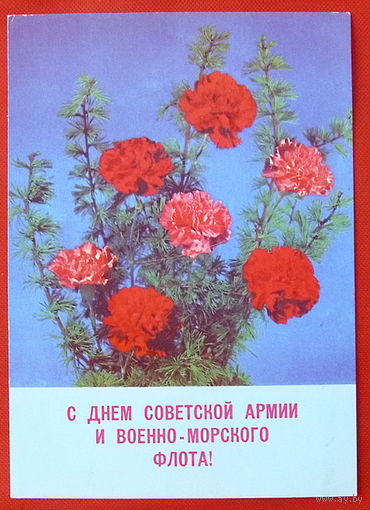 С Днём советской армии и военно- морского флота! Подписанная. 1989 года. Круцко. # 98.