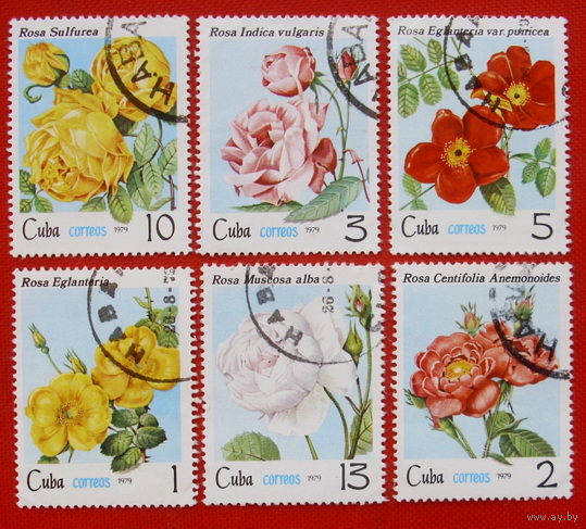 Куба. Розы. ( 6 марок ) 1979 года.