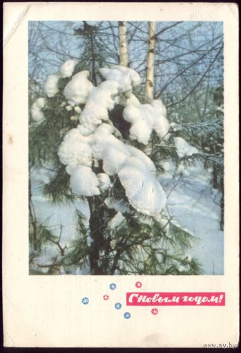 1966 год П.Смоляков С Новым Годом!