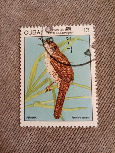 Куба 1977. Птицы. Ferminia carverai