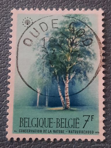 Бельгия 1970. Охрана природы. Флора. Береза
