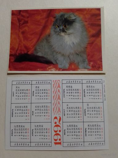 Карманный календарик. Котик. 1992 год