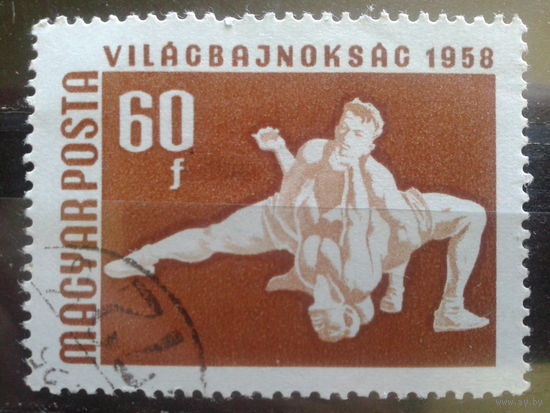 Венгрия 1958 борьба