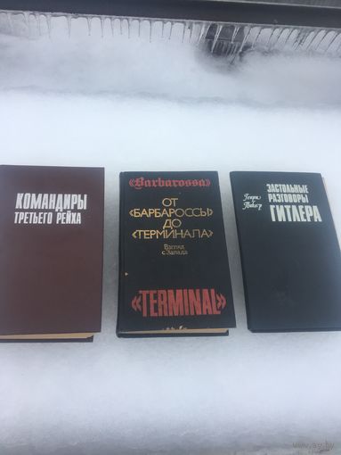 3 довольно редкие книги о разгромленной Красной Армией гитлеровской  германии. Иностранные  авторы-без соц.реализма.