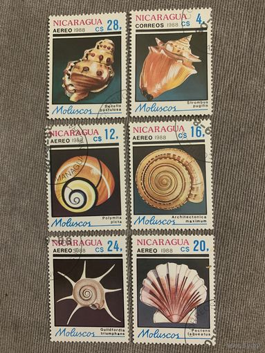 Никарагуа 1988. Морские раковины. Полная серия
