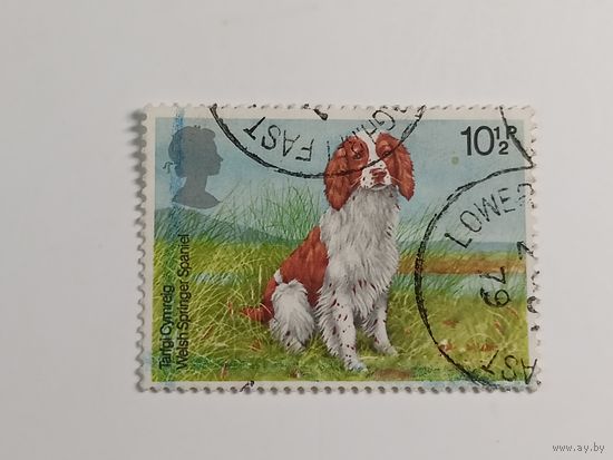 Великобритания 1979. Собаки