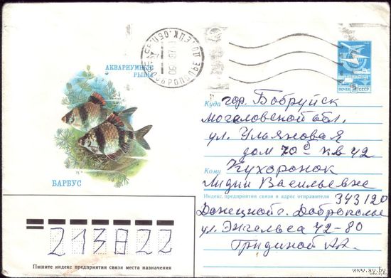 1986 год ХМК Барбус 86-531