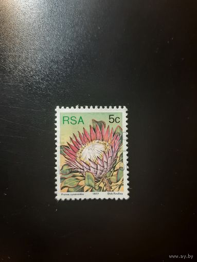 ЮАР. Цветок. 1977г. гашеная
