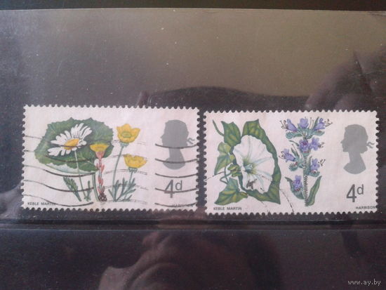 Англия 1967 Полевые цветы