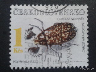 Чехословакия 1992 жук