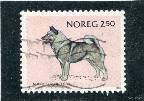Норвегия. Фауна. Породы собак. Норвежский бухунд