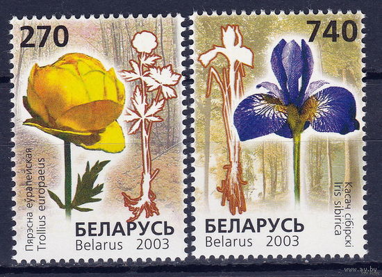 Редкие цветы. Красная книга. 2003. Беларусь. Полная серия 2 марки. Чистые