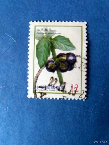 Марки Китай (Тайвань). Solanum americanum (американский черный паслён).  2012 год