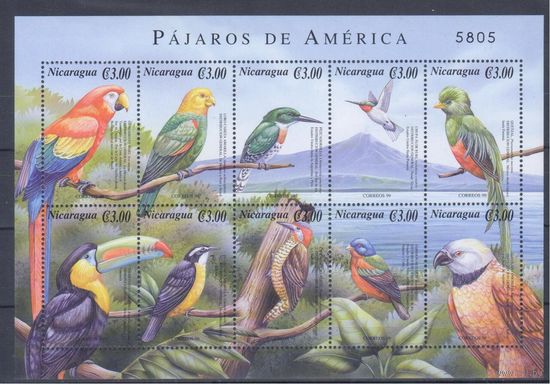 [1750] Никарагуа 1999. Фауна.Птицы. МАЛЫЙ ЛИСТ. MNH