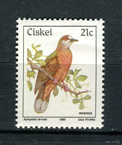 Сискей (Южная Африка) - 1990 - Птицы - [Mi. 174] - полная серия - 1 марка. MNH.