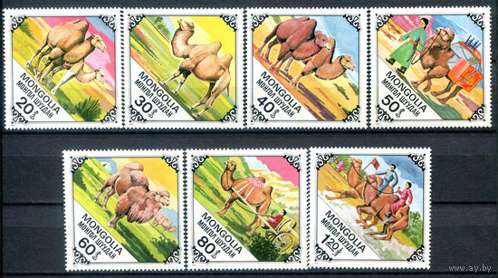 Монголия - 1978г. - Верблюды - полная серия, MNH [Mi 1185-1191] - 7 марок