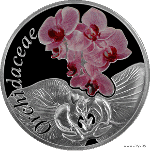 Орхидея (Orchidaceae) ("Красота цветов") 10 рублей 2013 года