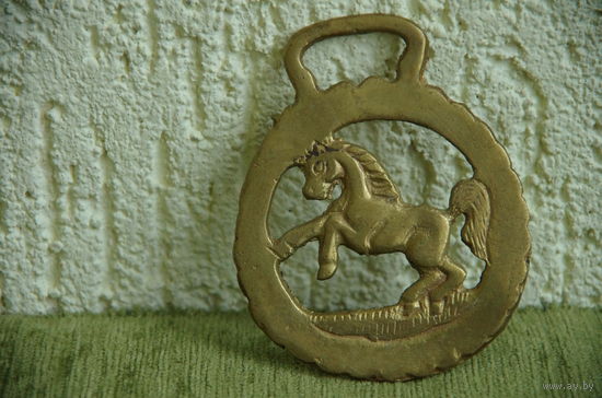 Медаль латунная  для лошадей ( 8 х 9,5 см )