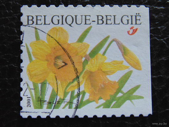 Бельгия 2001г. Флора.