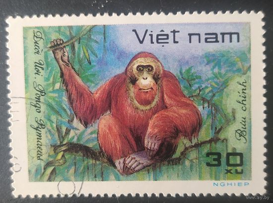 Вьетнам 1981 животные.  2 из 8