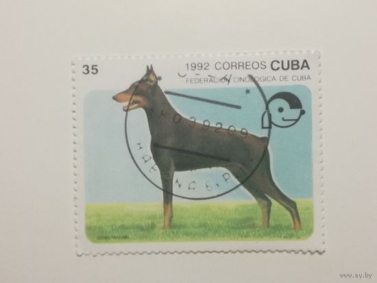 Куба 1992. Собаки