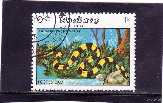 Лаос. Ми-774. Пластинчатый Krait (Bungarus fascitus). Серия: Рептилии.1984.