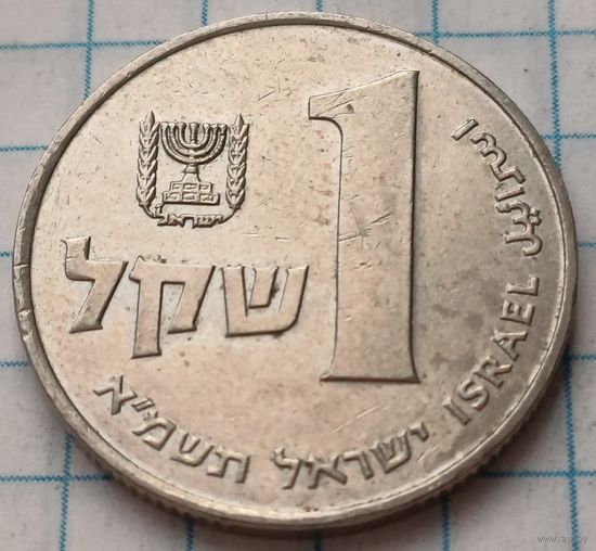 Израиль 1 шекель, 1981     ( 2-4-7 )