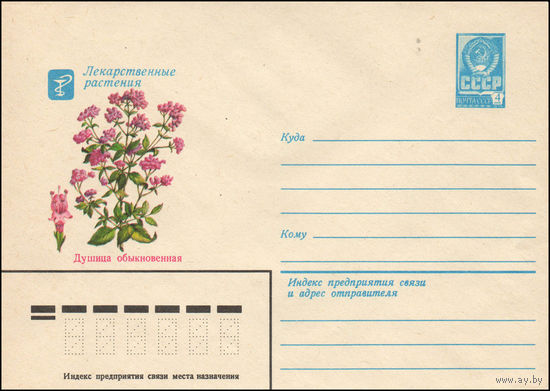 Художественный маркированный конверт СССР N 14310 (13.05.1980) Лекарственные растения  Душица обыкновенная