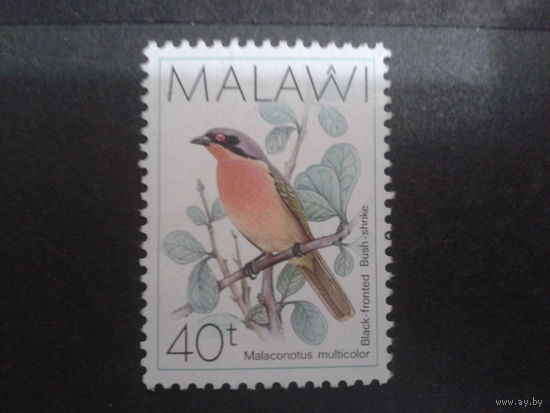 Малави 1988 Птица