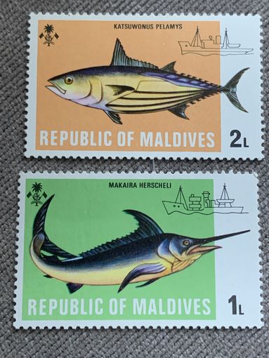 Мальдивы. Рыбы