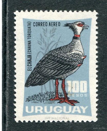 Уругвай. Фауна. Хохлатая паламедиа
