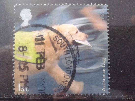 Англия 2008 Европа, письмо, собака-почтальон